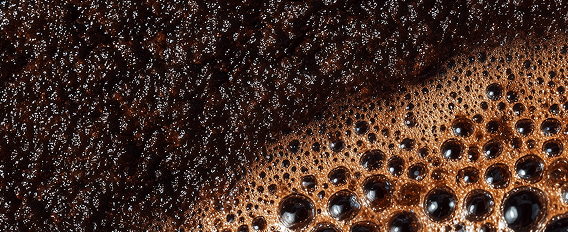 COFFEE SEED EXTRACT